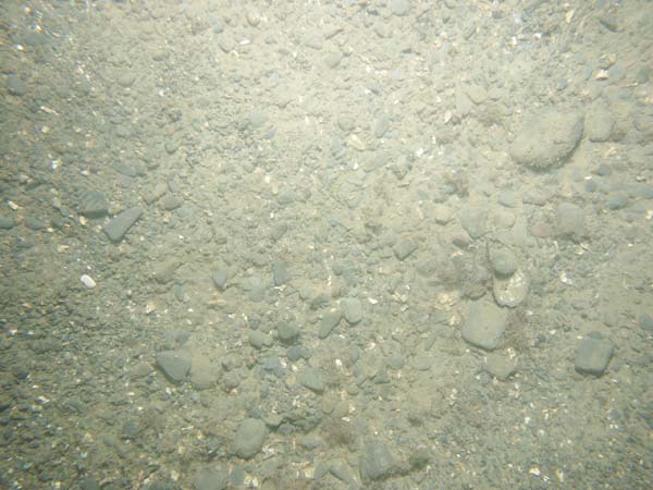 Image of sea bottom photo.