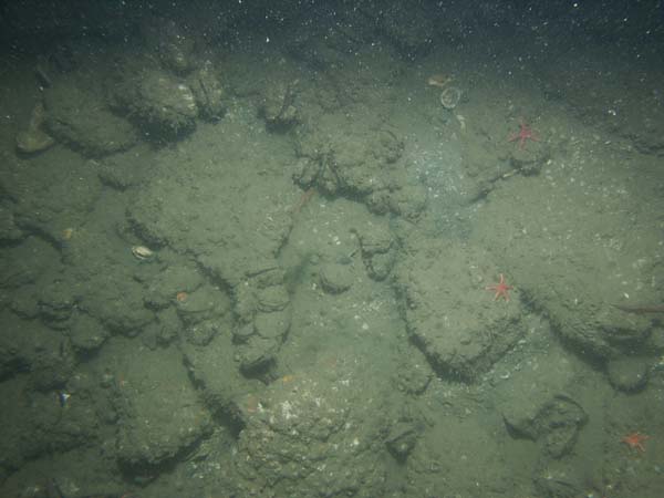 Image of sea bottom photo.