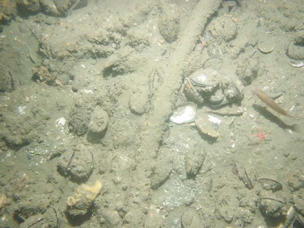 Image of sea bottom photo.