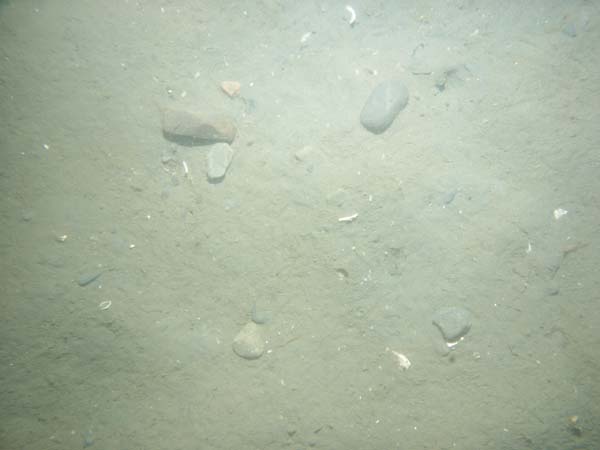 Image of sea bottom photo.