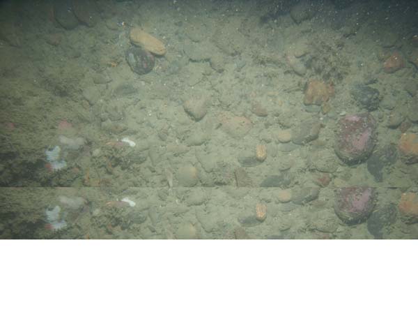 Image of sea bottom photo.