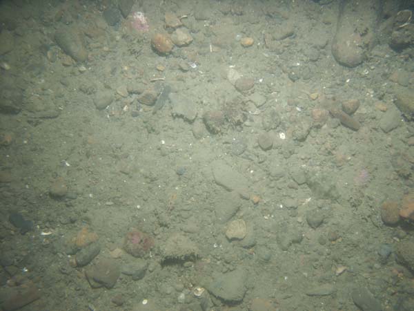 Image of sea bottom photo.