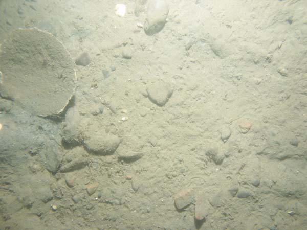 Image of sea bottom photo.