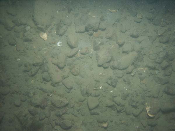 Image of sea bottom photo.