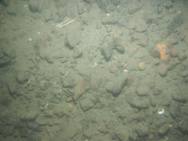 Image of sea bottom photo.