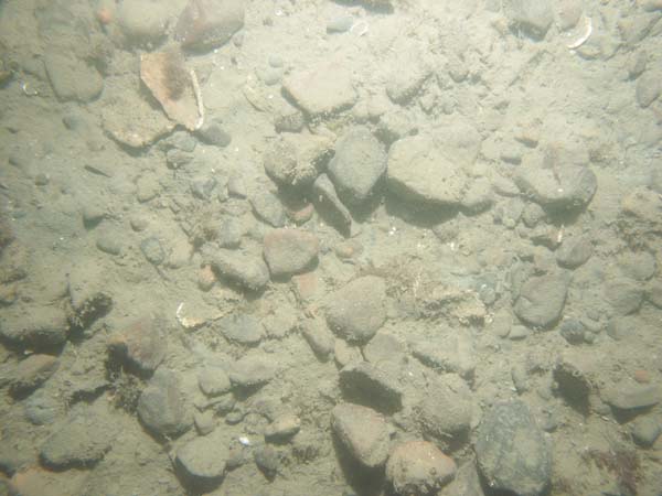 Image of sea bottom photo.