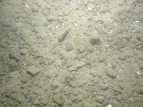 Image of sea bottom photo.