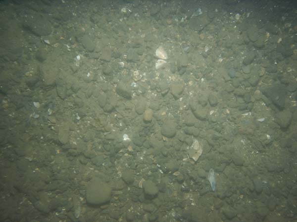 Image of sea bottom photo.