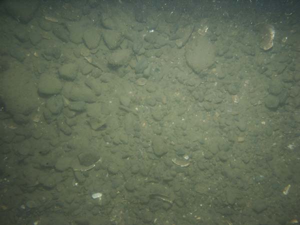 Image of sea bottom photo.