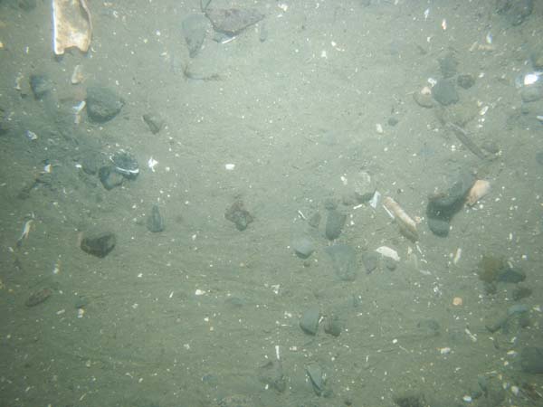 Image of sea bottom photo.