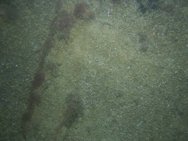 Image of sea bottom photo.