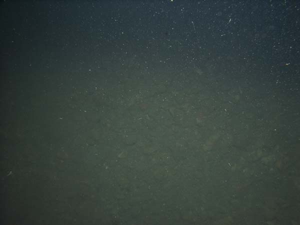 Image of sea bottom photo.