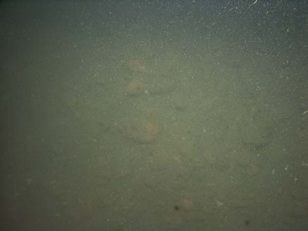 Image of sea bottom photo.