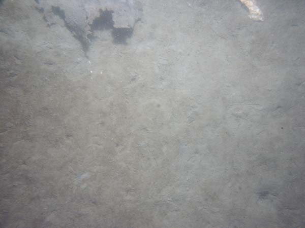 Image of sea bottom photo.