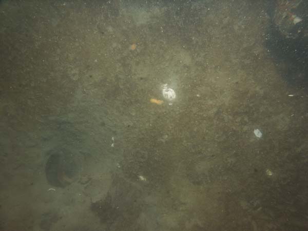 Image of sea bottom photo.