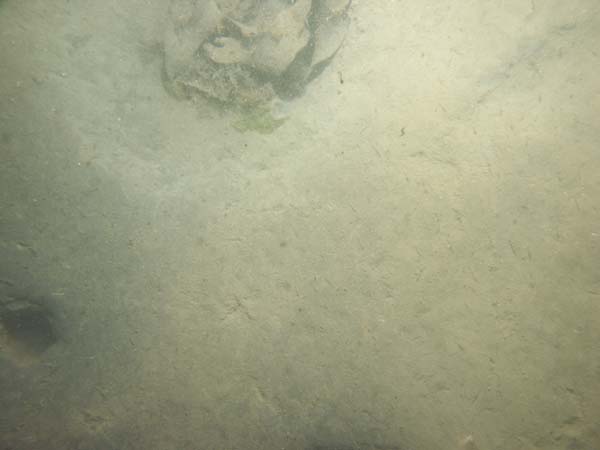 Image of sea bottom photo.