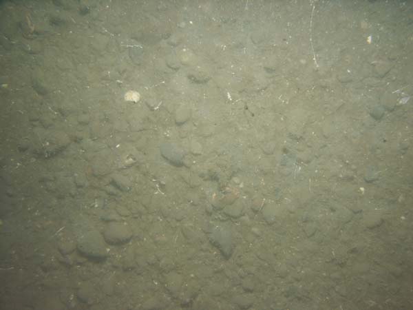 Image of sea bottom photo.