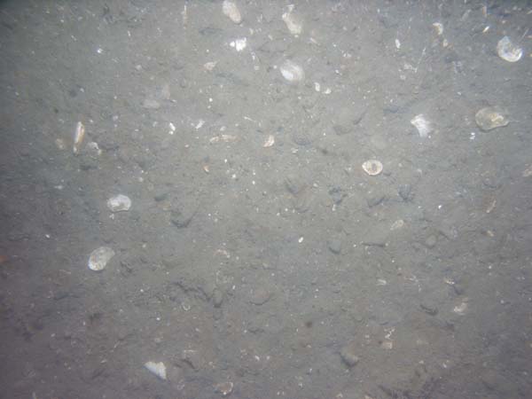 Image of sea bottom photo.