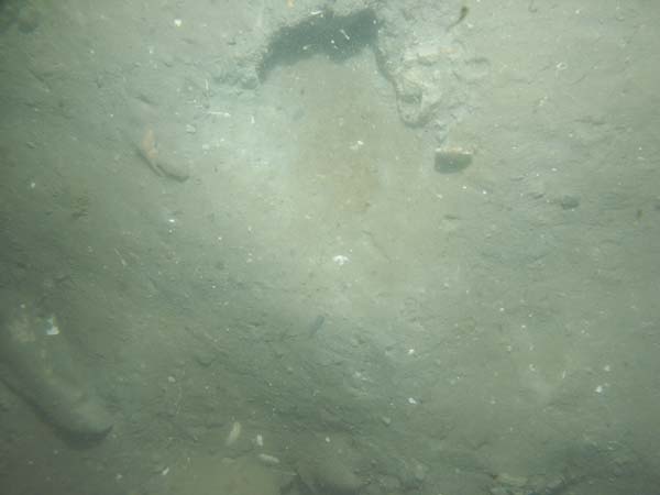 Image of sea bottom photo.