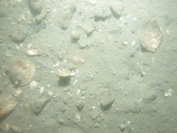 Image of sea bottom photo.