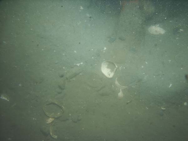 Image of sea bottom photo.