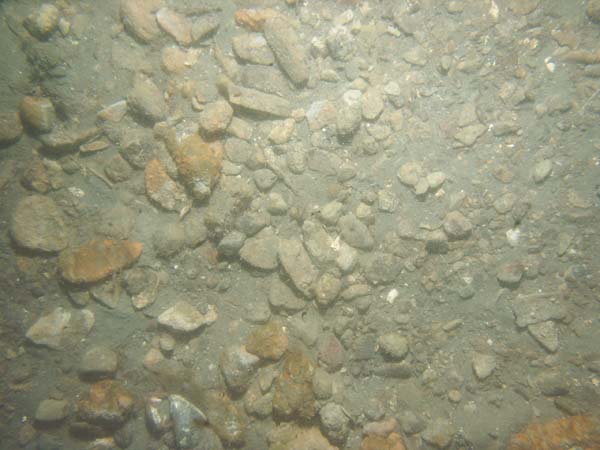 Image of sea bottom photo.