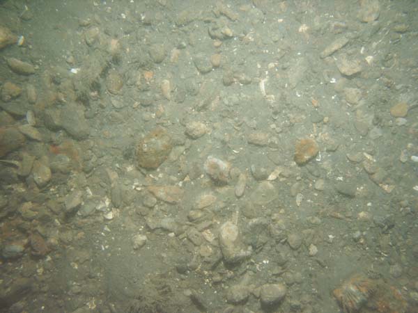 Image of sea bottom photo.