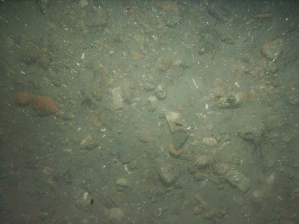 Image of sea bottom photo.