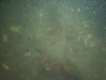 sea-floor photo