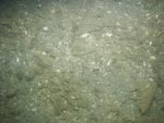 sea-floor photo