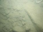 sea-floor photo