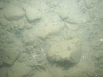 sea-floor photo