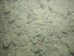 sea-floor photo