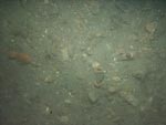 sea-floor photo