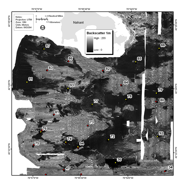 Figure 4.14b. Backscatter intensity map of the Approaches to Boston Harbor, north of the Harbor Islands and south of Nahant, including Broad Sound.