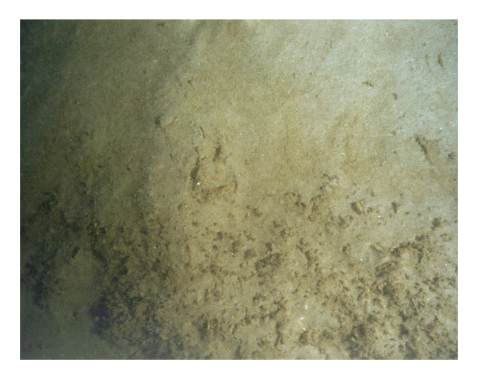 Figure 14. Bottom photograph showing an example of a sedimentary environment characterized by deposition.