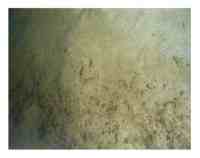 Example of a sedimentary environment characterized by deposition.