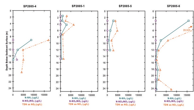 Figure 12a, plot of concentrations of nitrogen species.