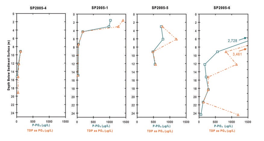 Figure 12b, profiles of concentrations of phosphorus species.