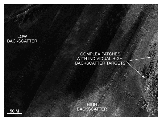 Figure 26. Detailed planar view of the sidescan sonar mosaic from north of Nashawena Island showing representative backscatter tones.  </td>

</tr>
<tr><td colspan=