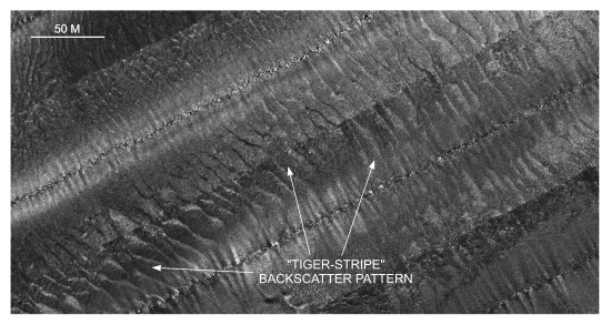 Figure 27. Detailed planar view of the sidescan sonar mosaic from north of Nashawena Island showing alternating bands of high and low backscatter pattern indicative of sand waves.   