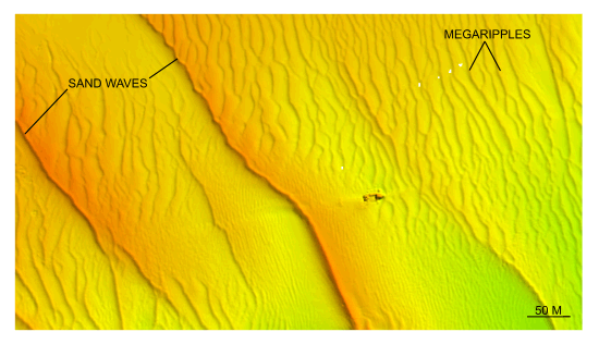 Figure 31. Detailed planar view of the bedforms south of Pasque Island from the DTM produced during NOAA survey H11076.   