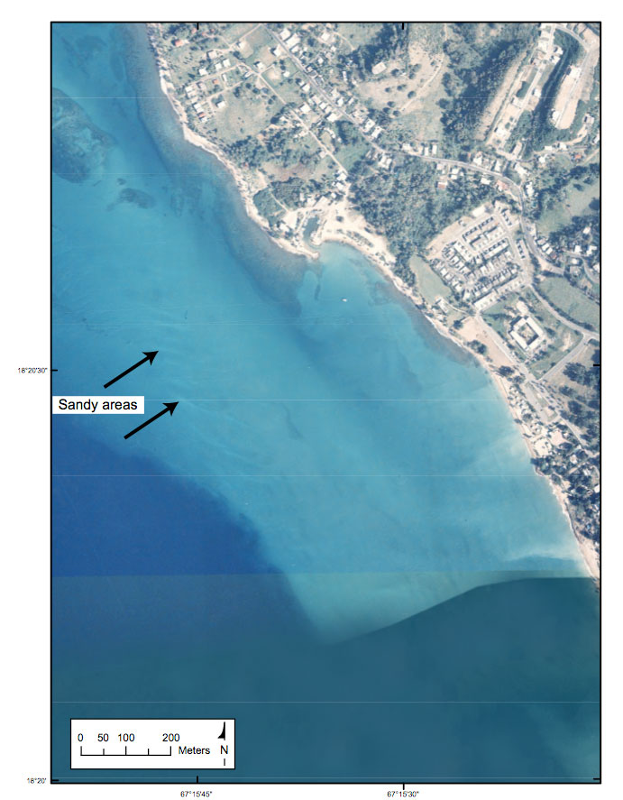 Figure 14. A 1997 orthophotograph showing possible sandy deposits on the shoal feature southwest of Punta Ensenada.