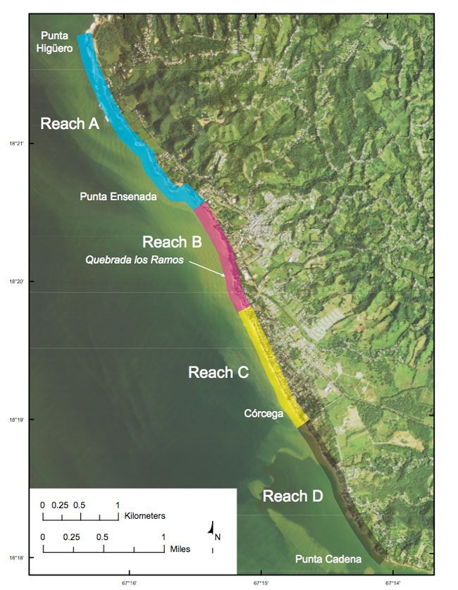 Figure 2. Map showing shoreline reaches identified by Thieler and Carlo (1995).