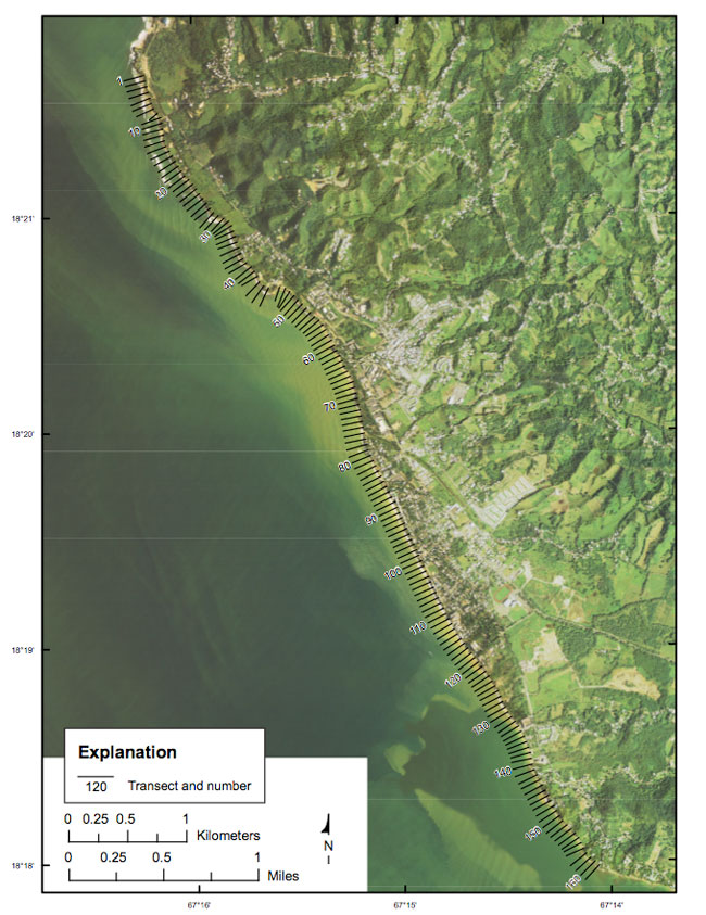 Figure 3. Map showing the location of transects used to calculate shoreline rates of change.