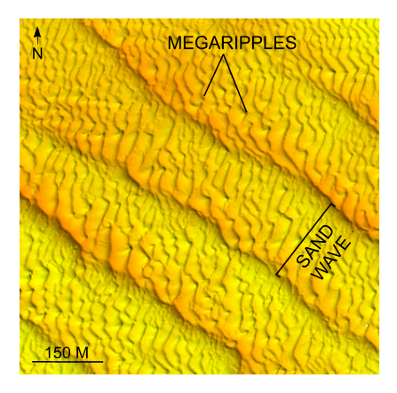 Figure 27. Detailed planar view of multibeam bathymetry from survey H11361 showing megaripples superimposed on transverse sand waves southwest of shoal.