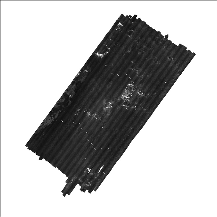 Image of sidescan sonar mosaic area 9 as stored within ArcGIS Map Document. 