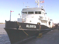 photo of Glorita