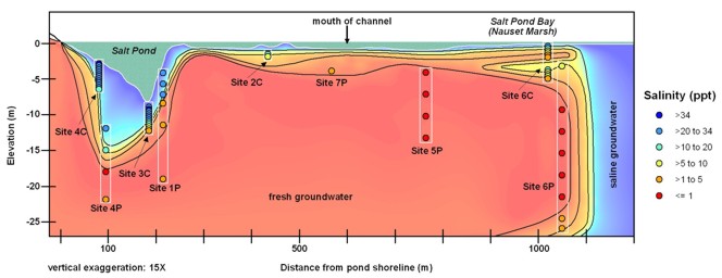 Figure 11, extrapolated salinity profile plot.