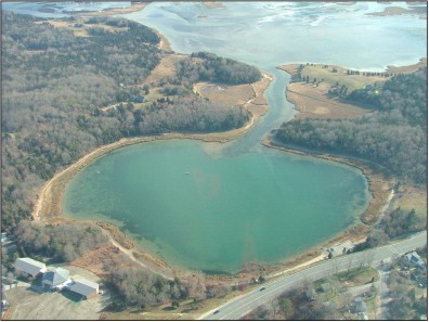 Aerial view of Salt  Pond and Nauset Marsh.